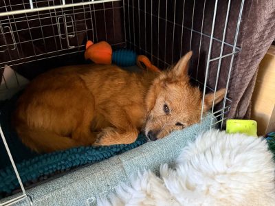 WhatsApp Image 2025-11-28 at 17.48.52