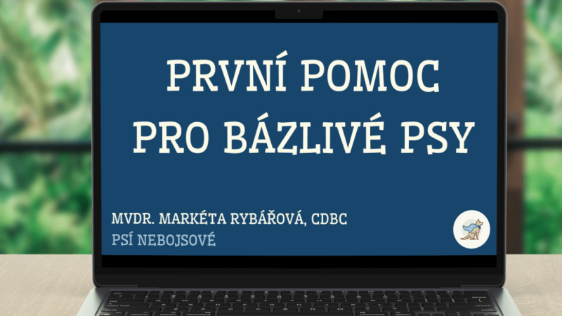 mockup-ebook